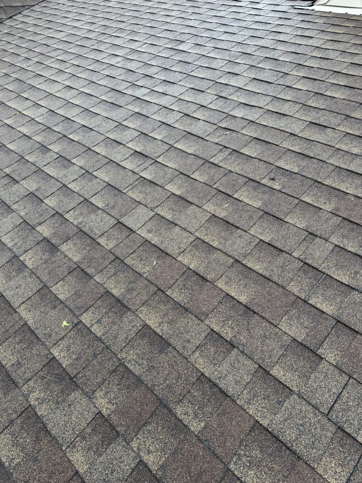 Hail-damage-WI