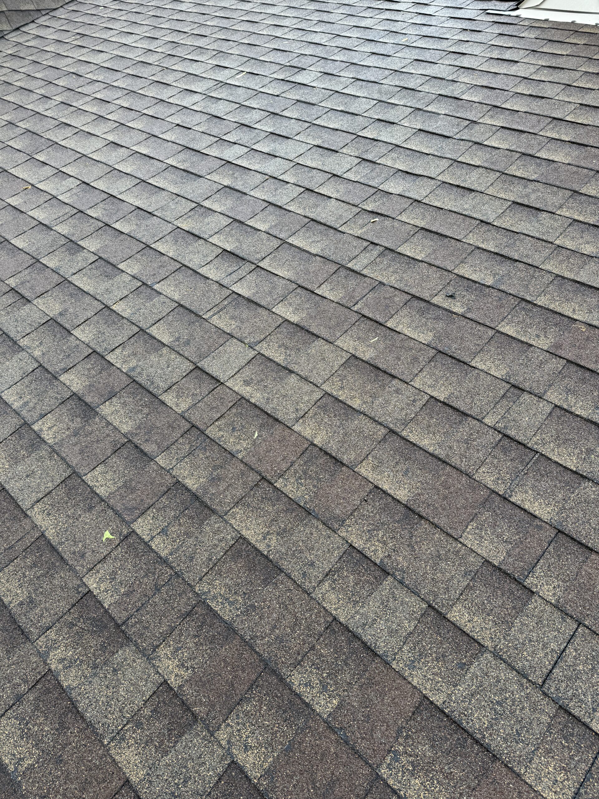 Hail damage on Wisconsin roof — Buckshot free inspection and insurance claim documentation