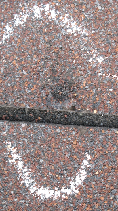 Hail damage asphalt shingle