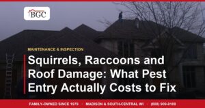 Squirrels, Raccoons and Roof Damage: What Pest Entry Actually Costs to Fix